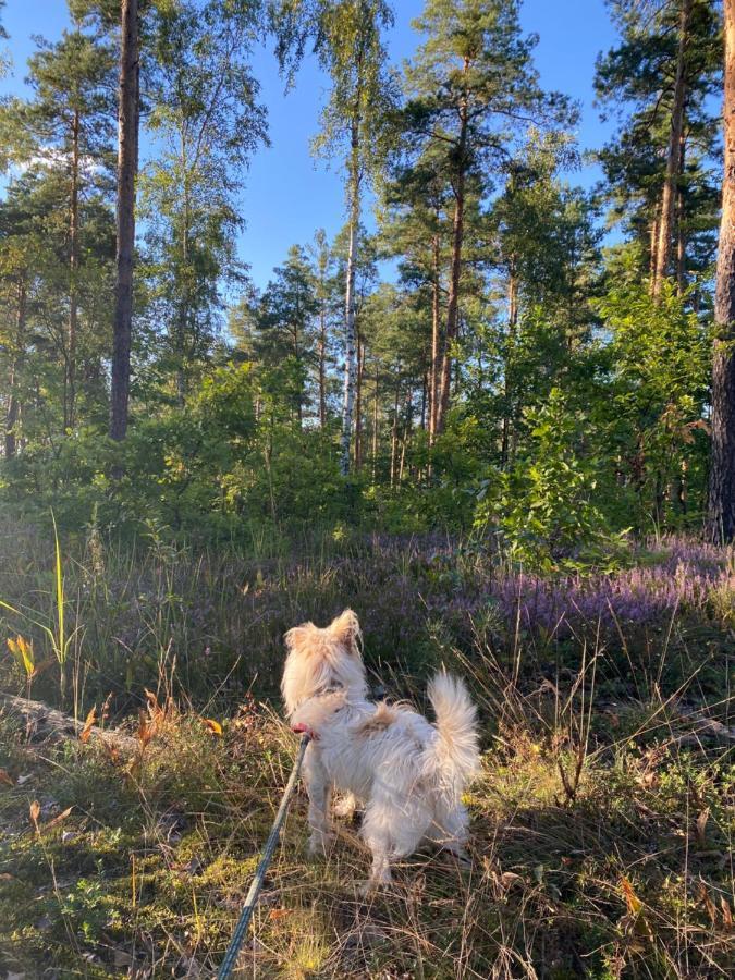 Holiday home Miedzy Falami Lazy (West Pomeranian)